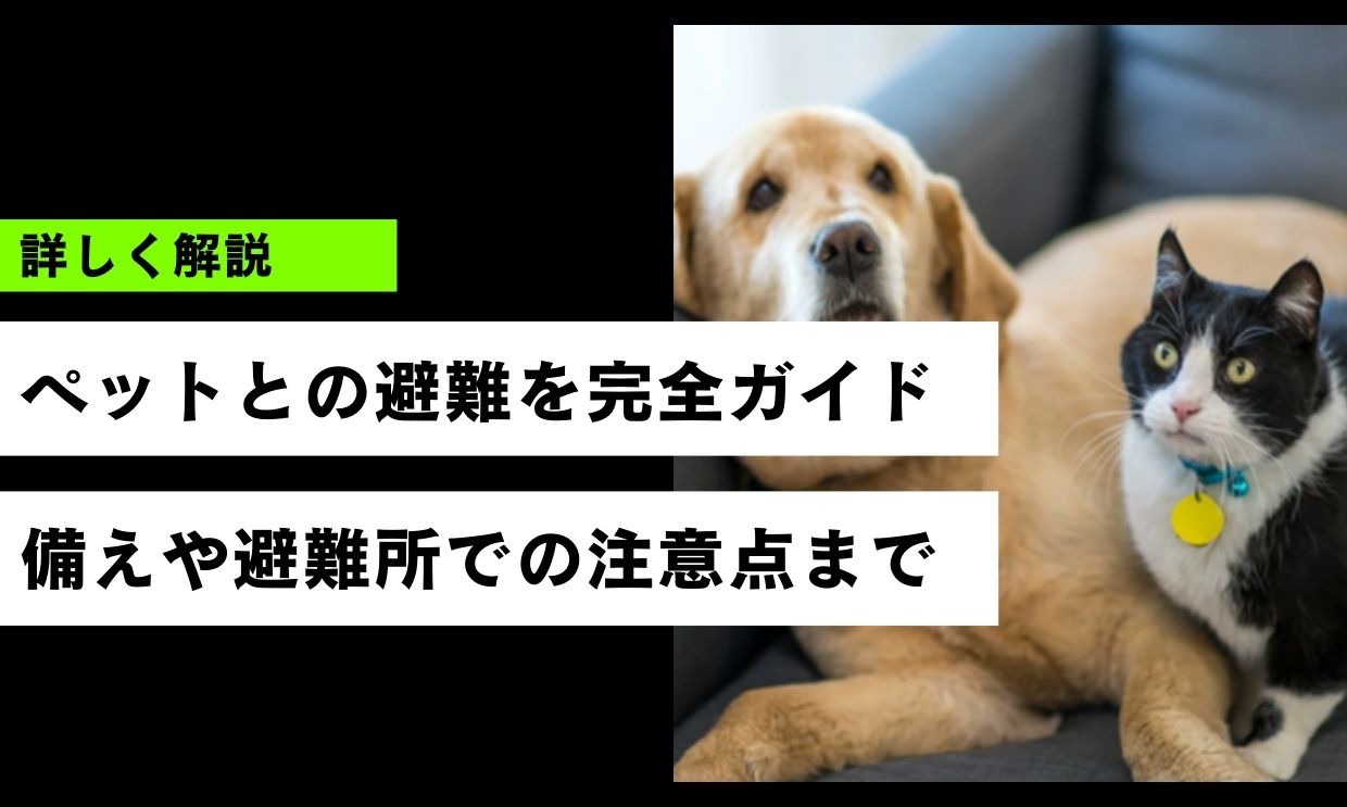 ペットとの避難を完全ガイド